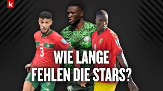 Guirassy Boniface und Co Welche Chancen haben die BundesligaSpieler beim Afrika Cup [upl. by Fidela860]