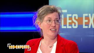 Les Experts reçoivent Catherine Moureaux et Christos Doulkeridis [upl. by Mogerly]