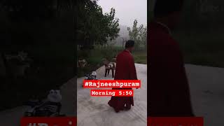 Rajneeshpuram Morning Beauty  Morning vibes sakha lovedharma osho rajneeshpuram morningvibes [upl. by Einej]