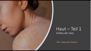 Aufbau der Haut  Teil 1 Epidermis Dermis Subcutis einfach erklärt [upl. by Mallissa]