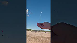 Coloquei minha linha e carretilha no chão e fui pro relo pipacombate pipa kiteflying kite br [upl. by Bond665]