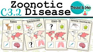 C32  Zoonotic Disease  IB Biology SLHL [upl. by Noteek]