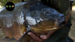 Terry Hearn  Tunnel Vision  Iconic Carp Fishing [upl. by Irrab]