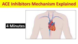 ACE Inhibitors Pharmacology  ACE Inhibitors Mechanism and Side Effects Explained [upl. by Aisiram]