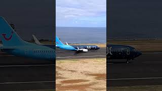 TUI BLUE HOTELS LIVERY ♥️ shorts shortsvideo aviation airplane madeiraairport [upl. by Dorri]