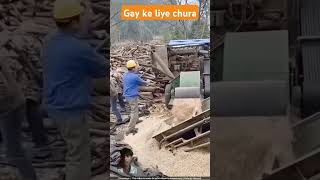 चीन वाले लकड़ियों का चूरा बनाकर क्यों बर्बाद कर रहे हैं 🙄 cow​ feed​ facts0 woodworking [upl. by Oramlub711]