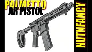 BUNKER REVIEW Palmetto Armory PA15 10quot Pistol [upl. by Mashe]