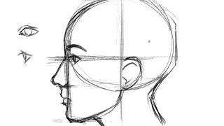 How to Draw a Face Profile [upl. by Yriek152]