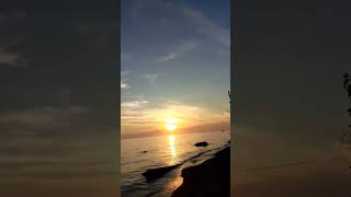 Plantasyon sirawai😊 viralvideo zdn sunset [upl. by Cynthla]