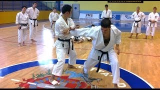 Takashi Yamaguchi Kata amp Bunkai Tekki Nidan [upl. by Burlie345]