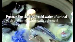 How to remove mold from clothes [upl. by Okun254]