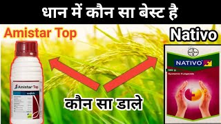 धान में कोन सा बेस्ट हे Nativo या Amistar TopNativo vs Amistar top kon sa best h nativo or Amistar [upl. by Lynnelle]