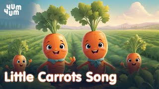 Little Carrots Song  Fun Kids Song and Dance  Nursery Rhymes for Children YumYumDreamWorld [upl. by Senalda671]