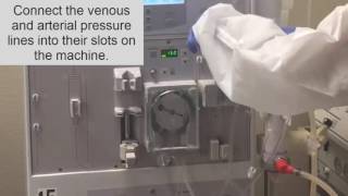 How to setup a dialysis Machine part II Hemodialysis Training [upl. by Naie515]