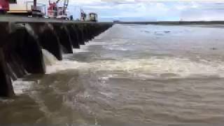 Bonnet Carre Spillway Opening  New Orleans [upl. by Eliezer367]