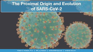 The Proximal Origin and Evolution of SARSCoV2 [upl. by Iana967]