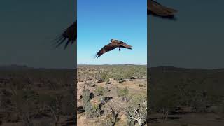 West MacDonnell Ranges NT [upl. by Bertle]