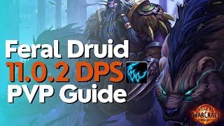 Feral Druid The War Within PvP Guide  Season 1 [upl. by Anauqed]