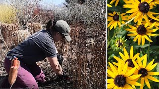 Cutting Down Herbaceous Perennials  Spring Cleanup [upl. by Amyaj667]