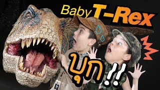 พี่จัสตินเจนน่า เตรียมบุกตะลุยโชว์ไดโนเสาร์ สัมผัส Baby TRex ตัวจริง แถม​รีวิว​ชานม​ไข่มุก​ [upl. by Costanzia839]