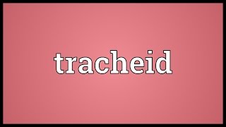 Tracheid Meaning [upl. by Retsof]