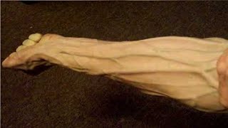 how to get big and veiny arms fast [upl. by Cimbura]