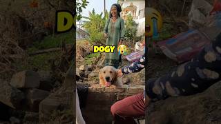 Cute Adventure 🥺 Dogvlog shorts vlog vlogger [upl. by Carlock]