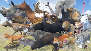 Terrestrial Animal Speed Comparison in 3D Animation  Realistic World Data [upl. by Einneg]