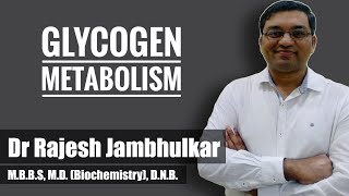 10 Glycogen metabolism Glycogenesis and Glycogenolysis [upl. by Nollid]