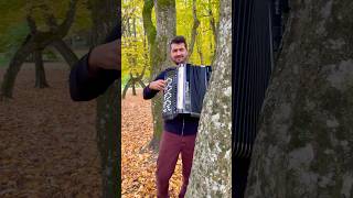 A Swinging Safari  Bert Kämpfert akordeon akordion cover accordion instrumental rolandfr8x [upl. by Bernardo]