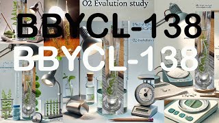 BBYCL 138 EXP To Study the Effect Light Intensity and Bicarbonate Conc O2 Evol in Photosynthesis [upl. by Johna]