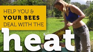 How to Help Your Bees in the Summer Heat  What Honeybees Do When Its Hot Out [upl. by Mcgurn679]