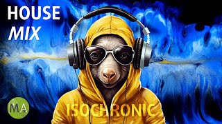 Peak Focus for Complex Tasks House Study Music Aardvark Mix with Isochronic Tones [upl. by Moya]