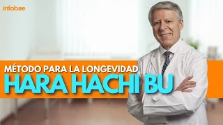 ¿QUÉ ES EL HARA HACHI BU [upl. by Yrogiarc827]