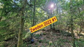 Zweden 2022🌲🌲 1 [upl. by Neeluj]