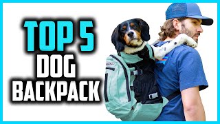 ✅Best Dog Backpack Carriers in 2024 [upl. by Nwahsak]