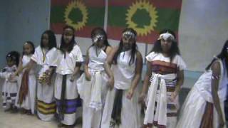 Oromo Cultural Show1take1 [upl. by Turley744]