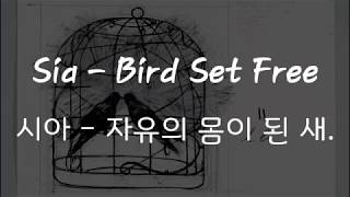 Sia  Bird set free 한국어 가사해석자막 HQ Audio [upl. by Mclyman]