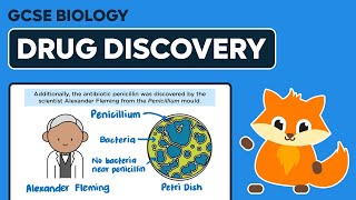 Drug Discovery  GCSE Biology [upl. by Hephzibah]