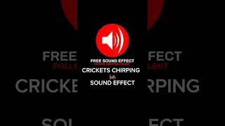 CRICKETS CHIRPING  SOUND EFFECT soundeffect crickets shorts [upl. by Narmi]