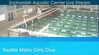 Seattle Metro 2023  Girls Diving [upl. by Refanej179]