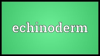 Echinoderm Meaning [upl. by Rochelle]