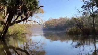 Exploring the Unchartered Waters of the Apalachicola River Captain Krista Millers hometown [upl. by Gearard]