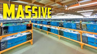 Most Amazing African Cichlid Facility in the World [upl. by Kentigera731]