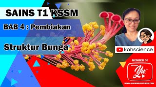 SAINS T1B4 Struktur Bunga Tingkatan 1 [upl. by Neeloj]