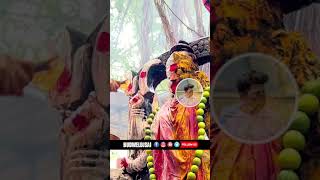 2024 bonalu ytshorts bonalu treding viral shorts falaknumaexpress budweldjsai [upl. by Elisabetta]