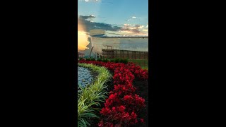 Visit the Ark Encounter Today [upl. by Iram]