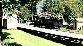 Heisler locomotive at the Durbin West Virginia RR Station 2022 [upl. by Aundrea]