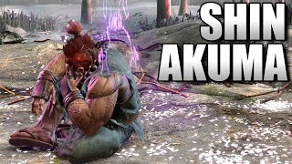 Shin Akuma Combos  Hype [upl. by Nylirret]