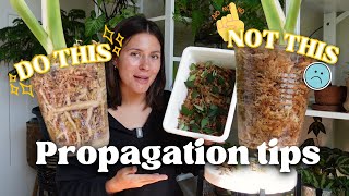 Propagation tips for maximum success [upl. by Ninerb609]